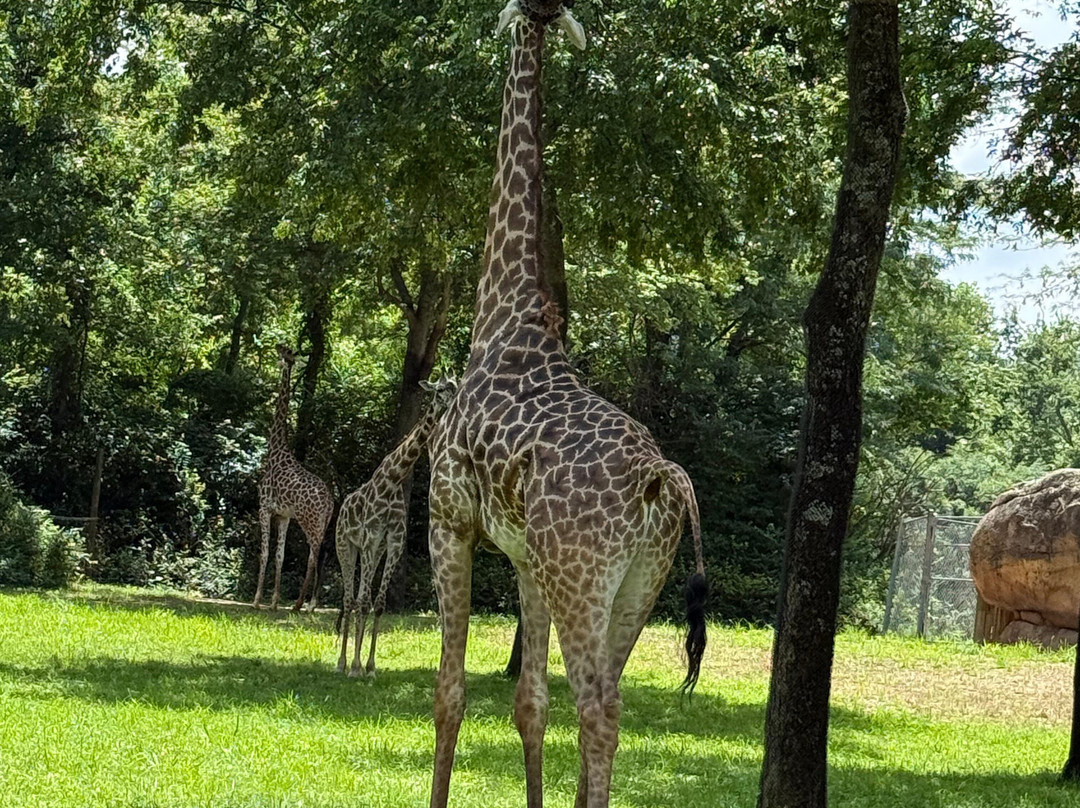 Nashville Zoo-纳什维尔必去景点