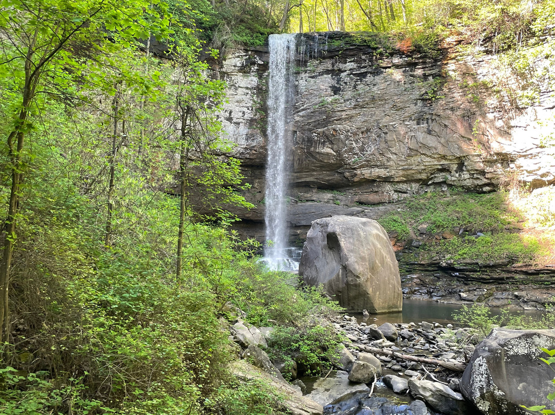 Cloudland Canyon State Park-Rising Fawn必去景点