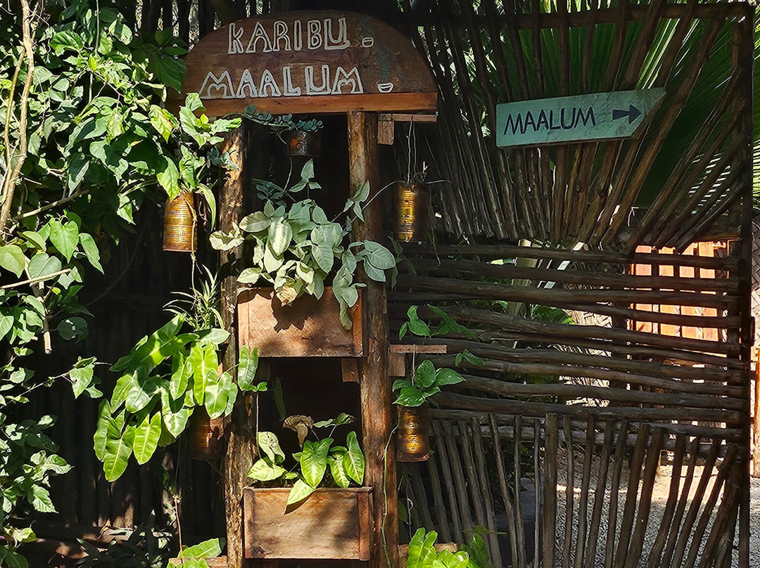 Massa Junior Zanzibar Tours & Safaris-Chwaka必去景点