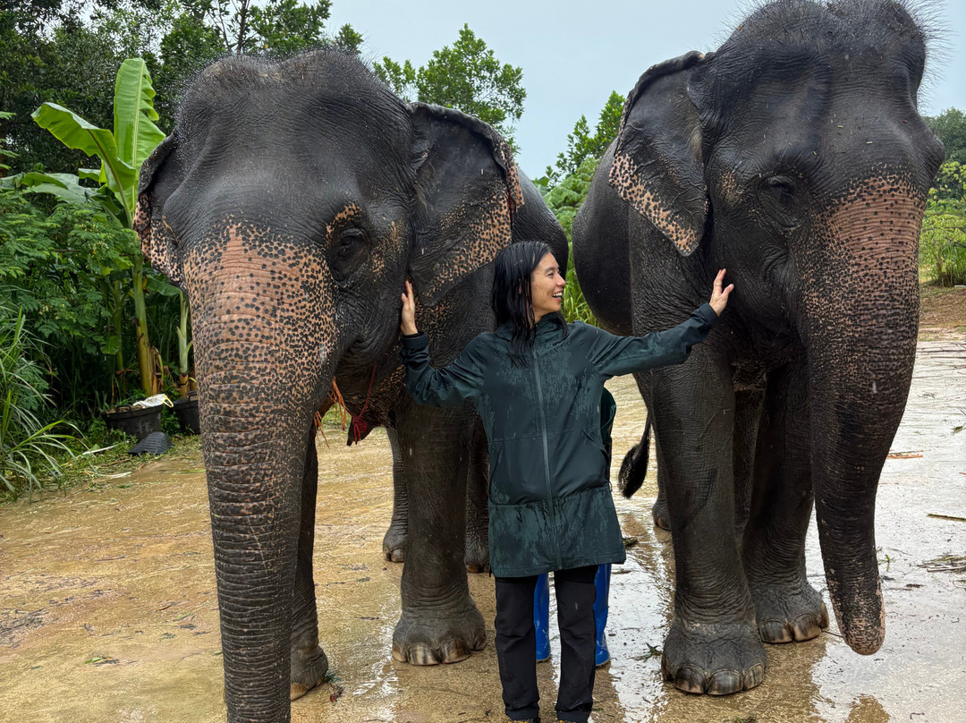The Lake Phuket Elephant Home-Thep Krasatti必去景点