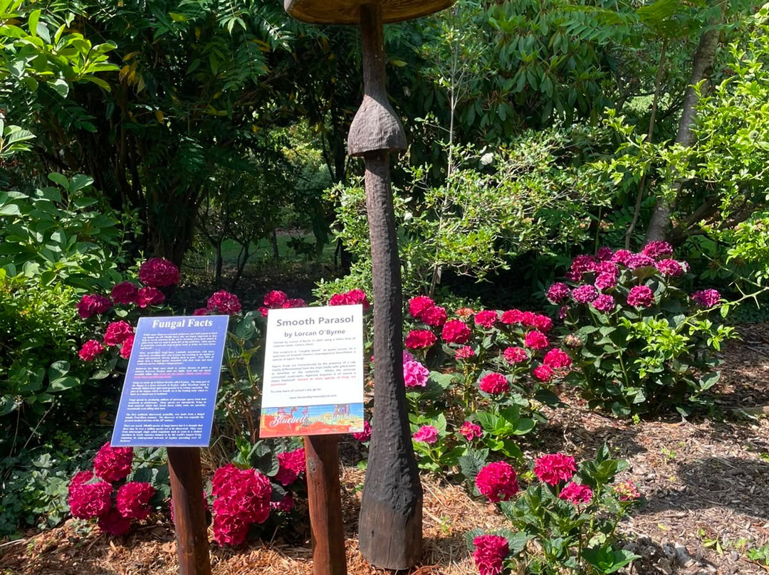 Bluebell Arboretum and Nursery-Smisby必去景点