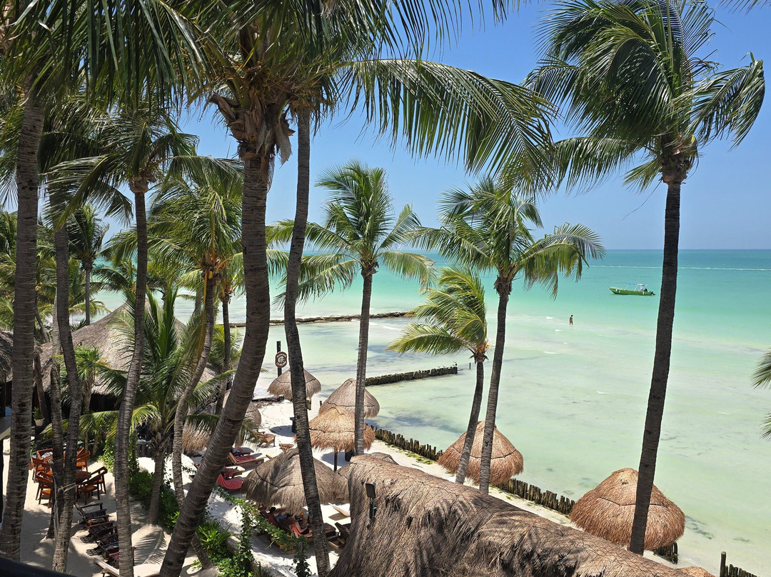 Beachfront Hotel La Palapa主图