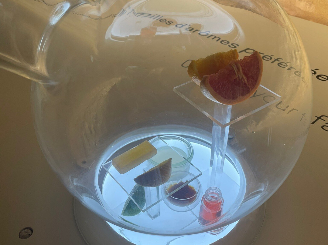Cité des Climats et vins de Bourgogne-Chablis必去景点