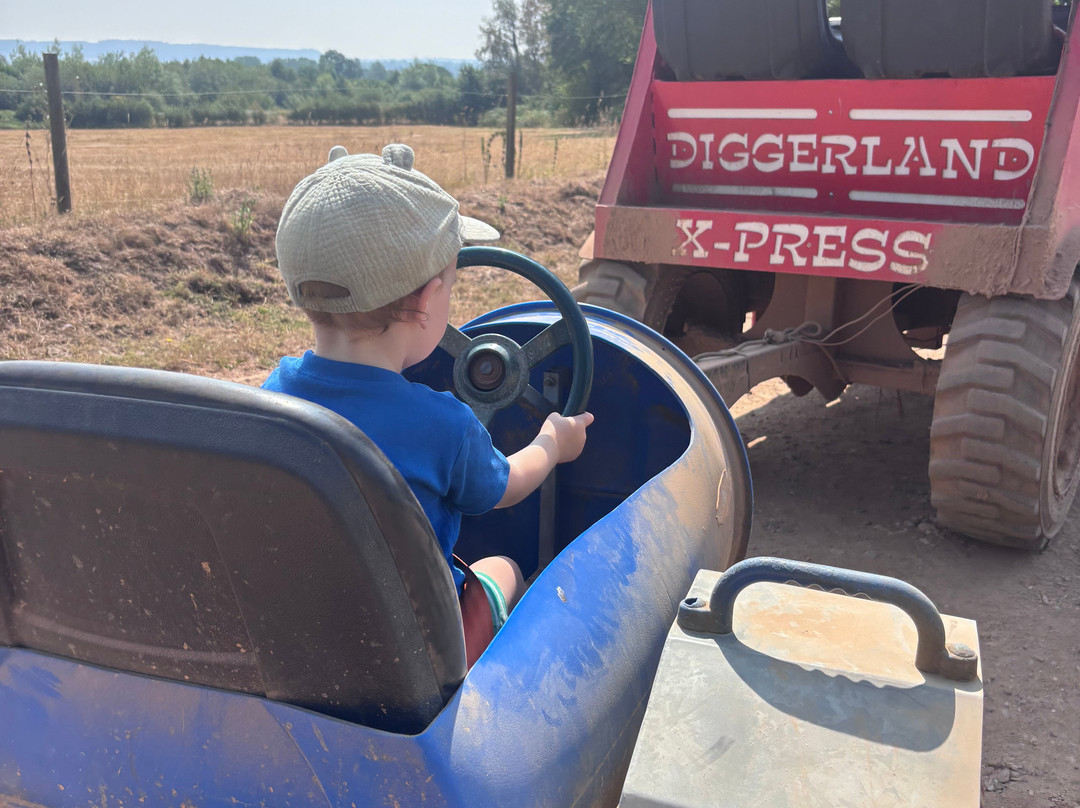 Diggerland Devon-Cullompton必去景点