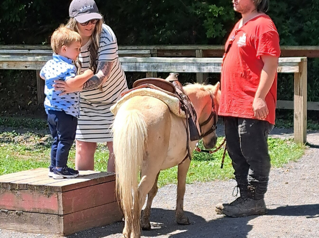 Smoky Mountain Deer Farm & Exotic Petting Zoo-塞维尔维尔必去景点