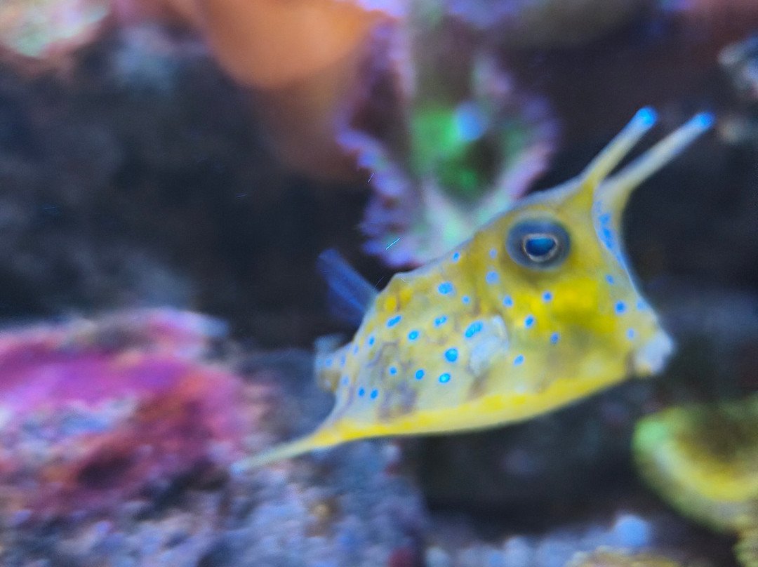 Aquarium De Touraine-Lussault-sur-Loire必去景点