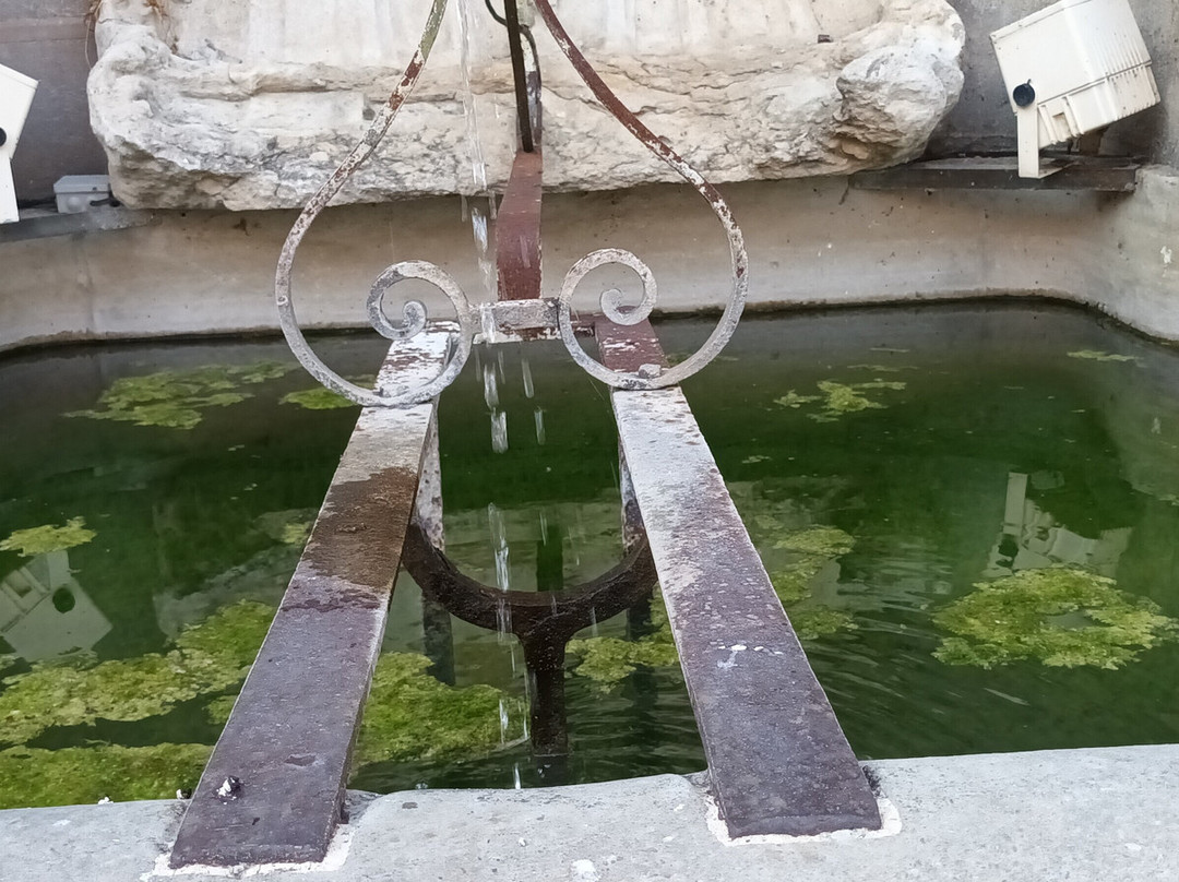 Fontaine Truchot-Salins-les-Bains必去景点