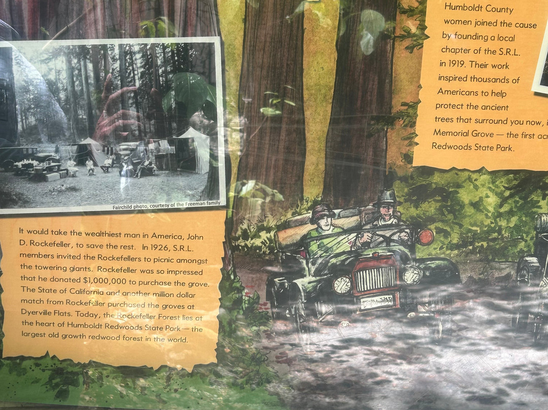 Avenue of the Giants-洪堡县必去景点
