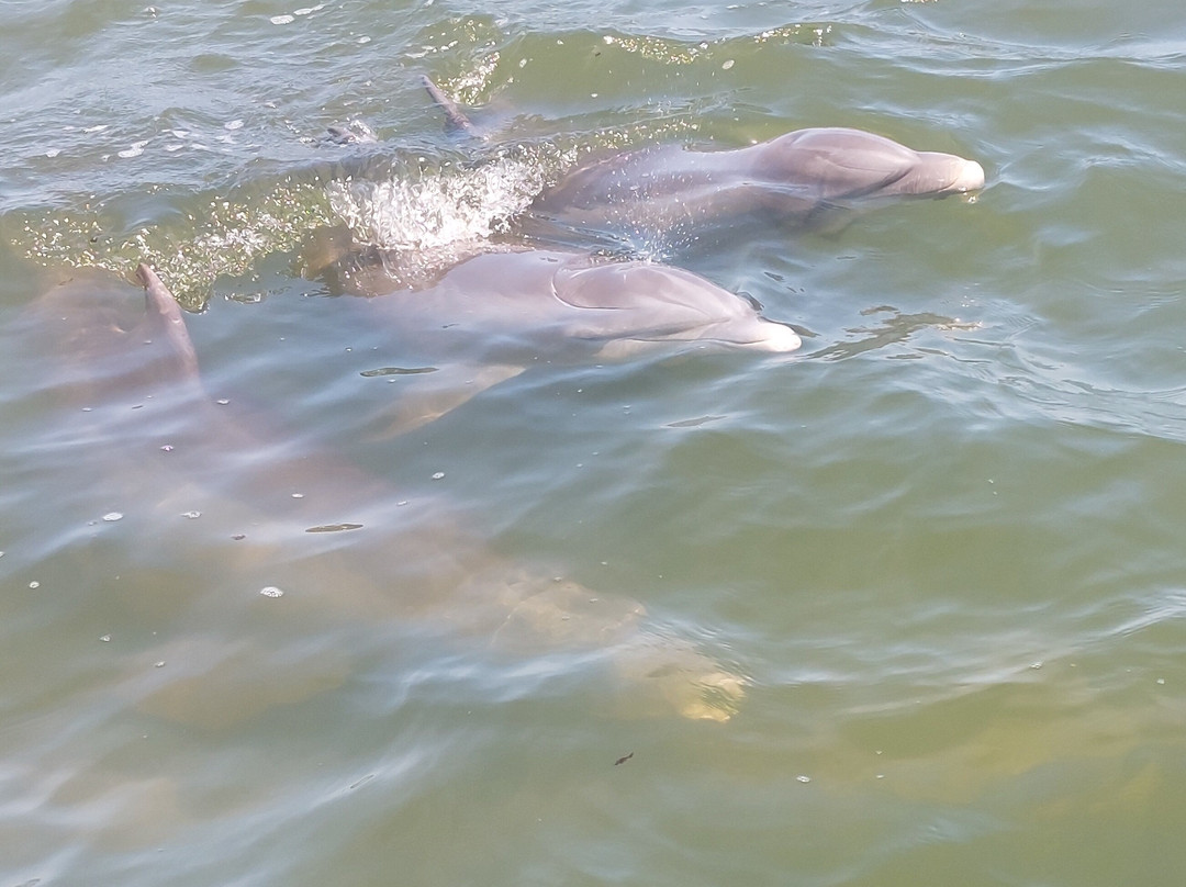 Captain Pete's Lagoon Adventures-Merritt Island必去景点