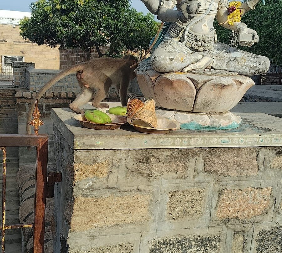 Brahmapureeswarar Temple-Tiruchirappalli必去景点