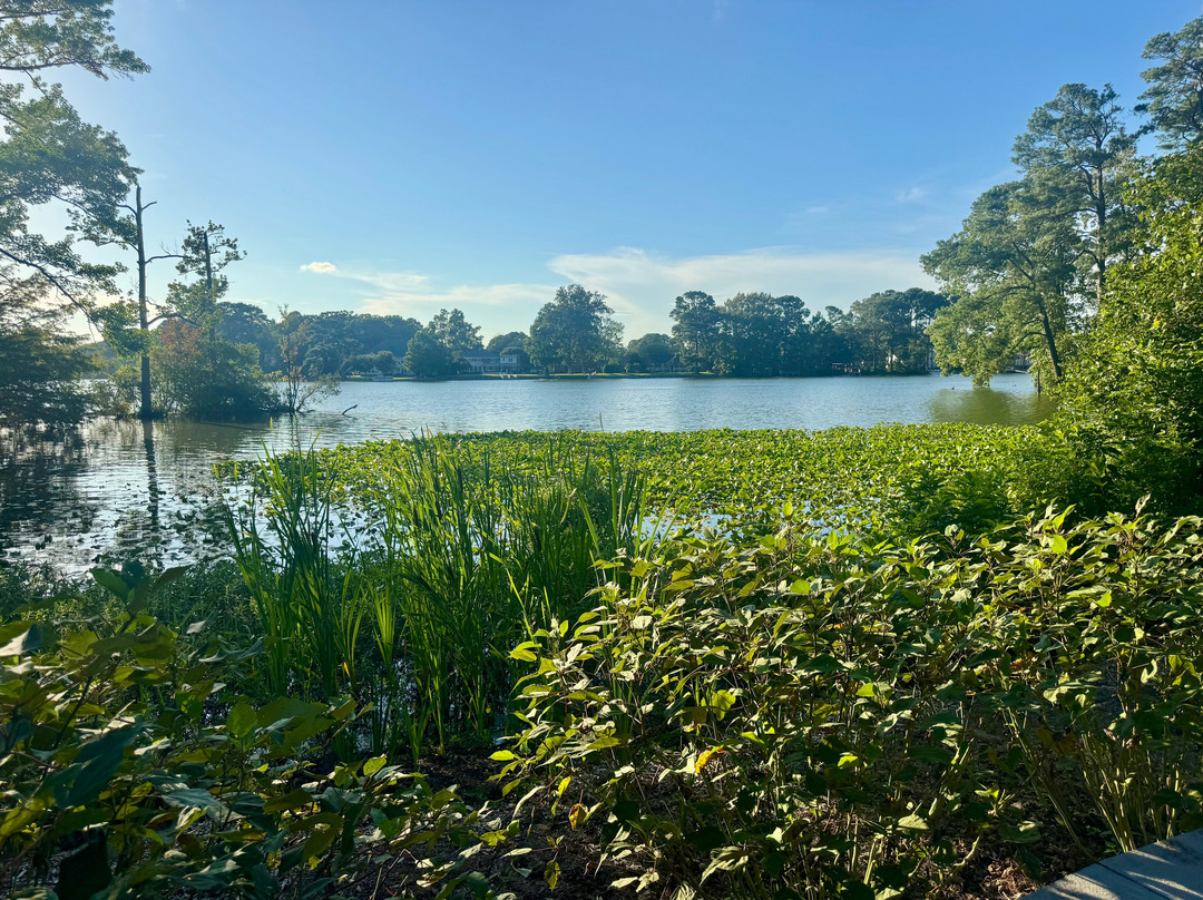 Norfolk Botanical Garden-诺福克必去景点