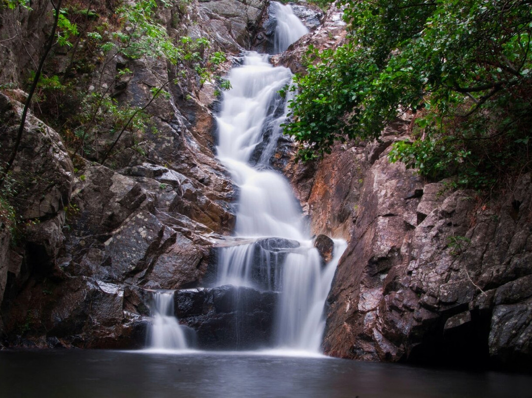 Parco Naturale Regionale delle Serre-Serra San Bruno必去景点