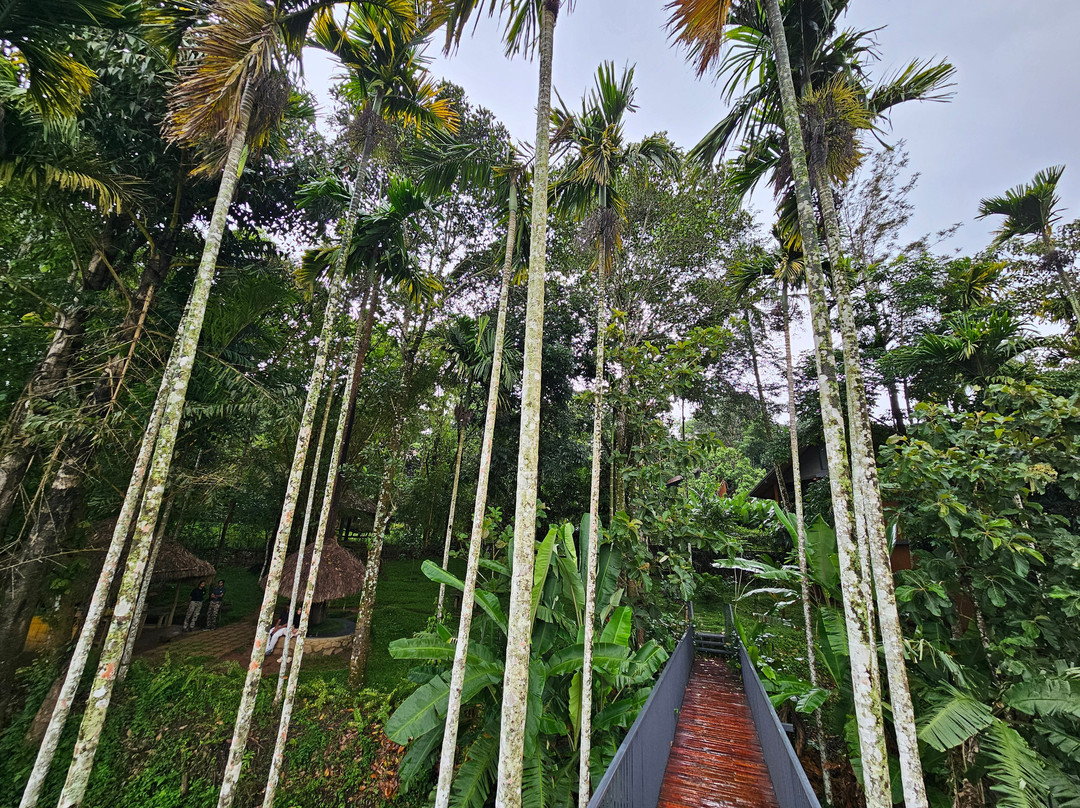 Crystal Kuruva Nature Resort & Spa主图