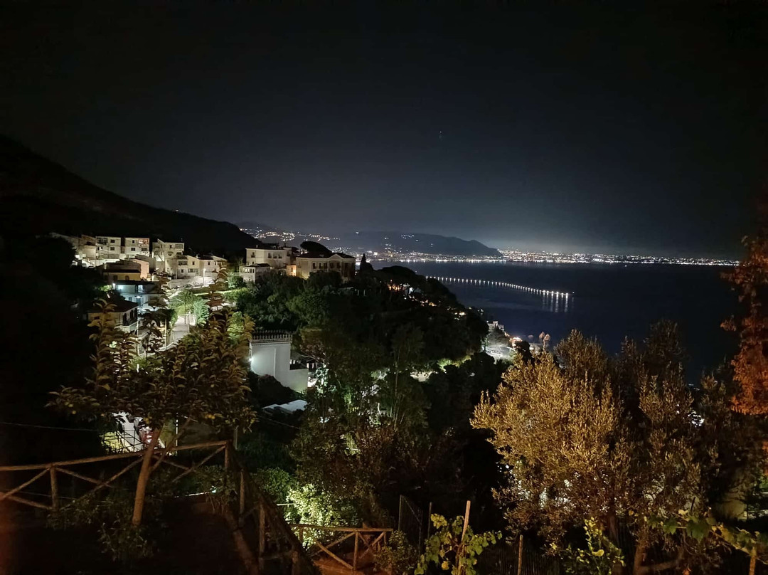 阿马尔菲海岸的石榴树主图