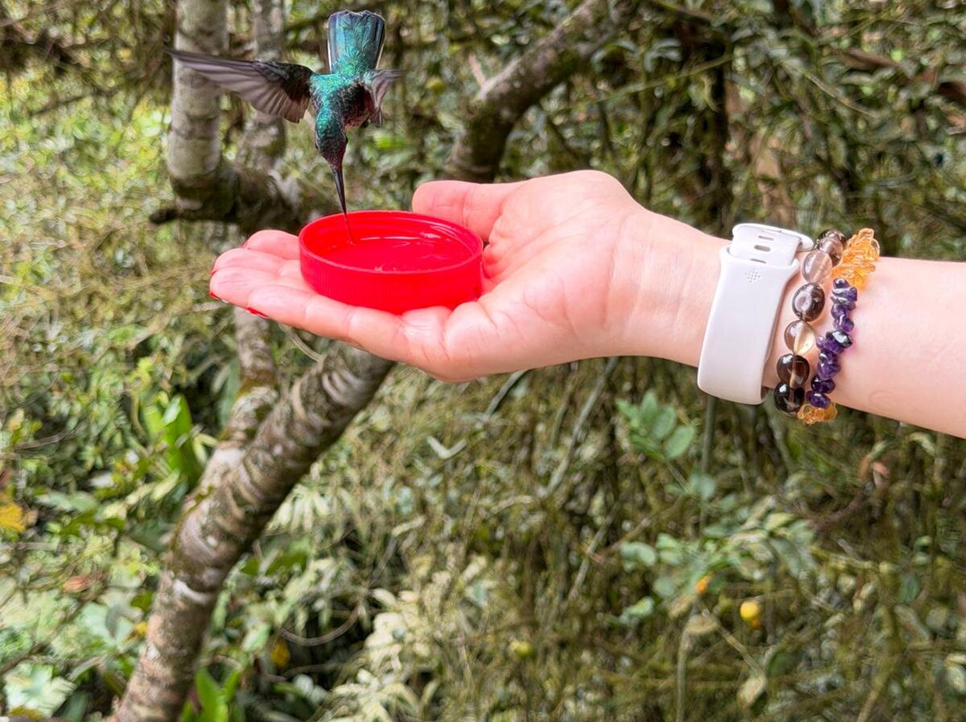 Touring Ecuador-基多必去景点
