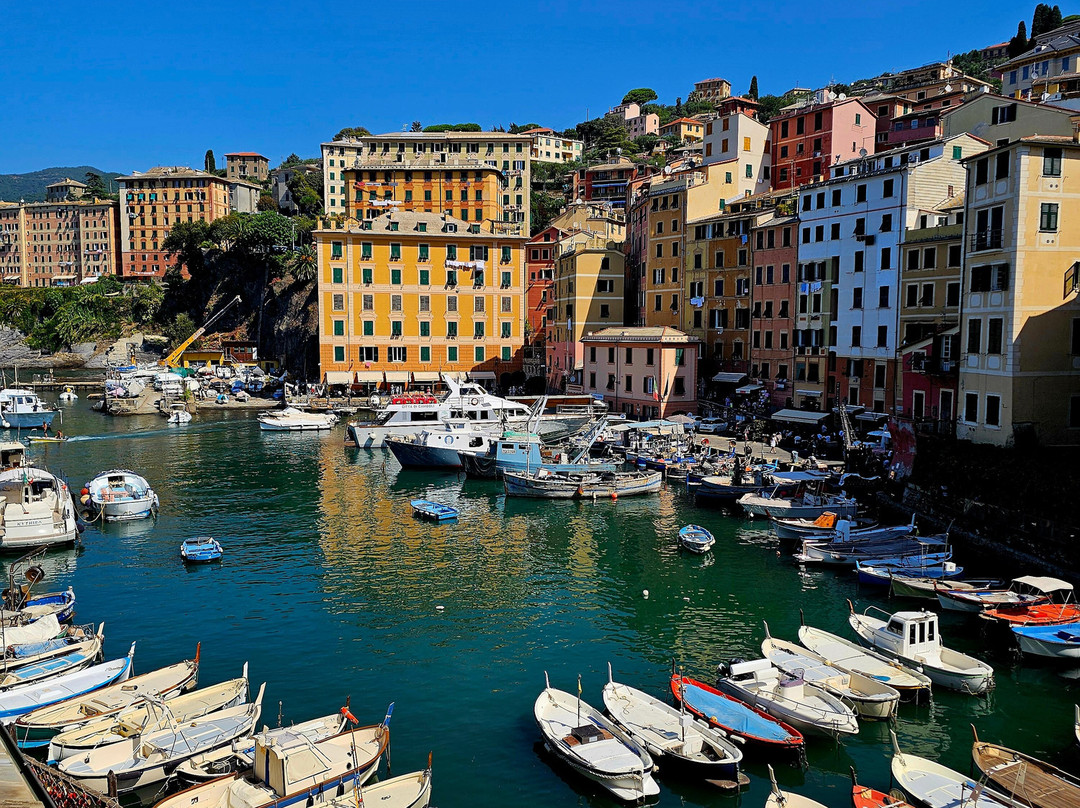 Lungomare di Camogli-卡莫利必去景点