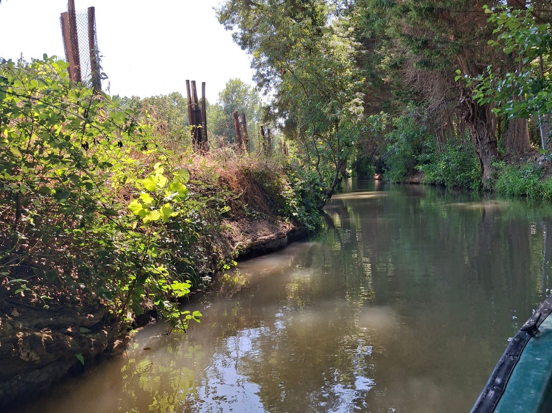 Embarcadere Cardinaud - Marais poitevin-Nouvelle-Aquitaine必去景点