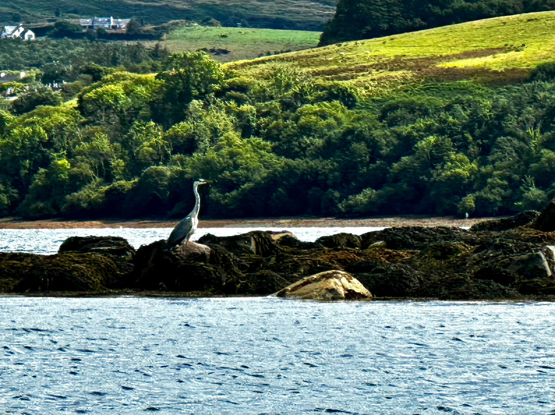 Bantry Sea Safari & Rentals-Bantry必去景点