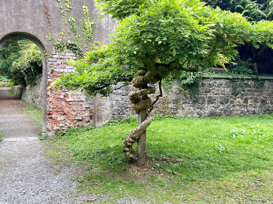Gosford Forest Park-阿尔马必去景点
