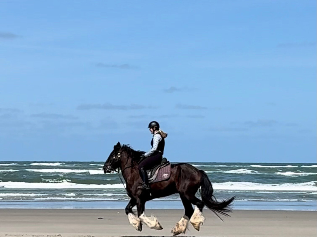Puur Terschelling-Terschelling必去景点
