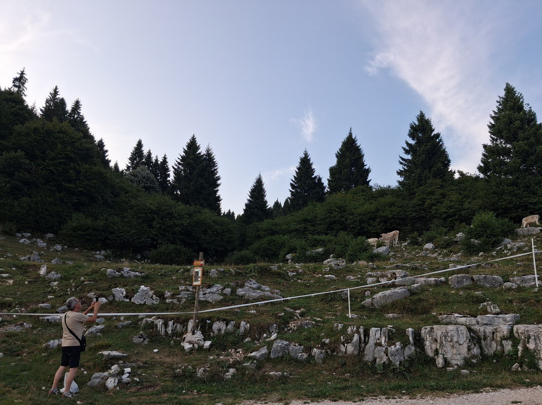 Bed and Breakfast Country House Rugiada主图
