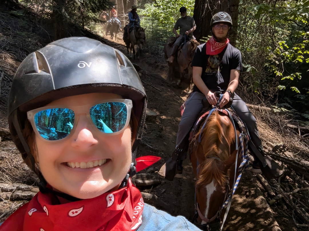 Yosemite Trails Horseback Adventures-菲什营必去景点