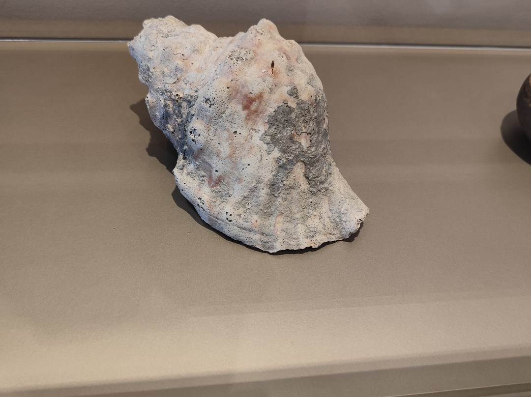 Narbo Via - Musée À Narbonne-纳博讷必去景点