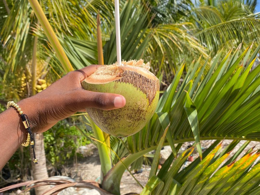 Caicos Dream Tours-普罗维登西亚莱斯必去景点