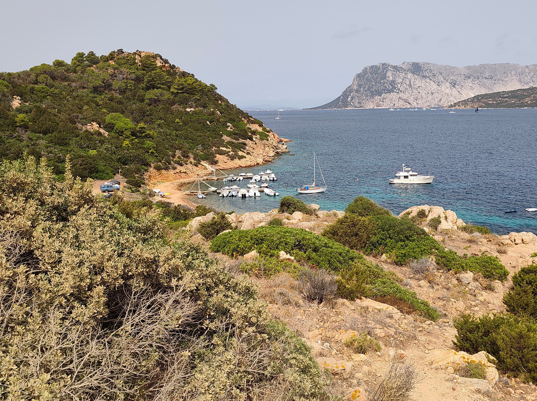 Spiaggia Capo Coda Cavallo-San Teodoro必去景点