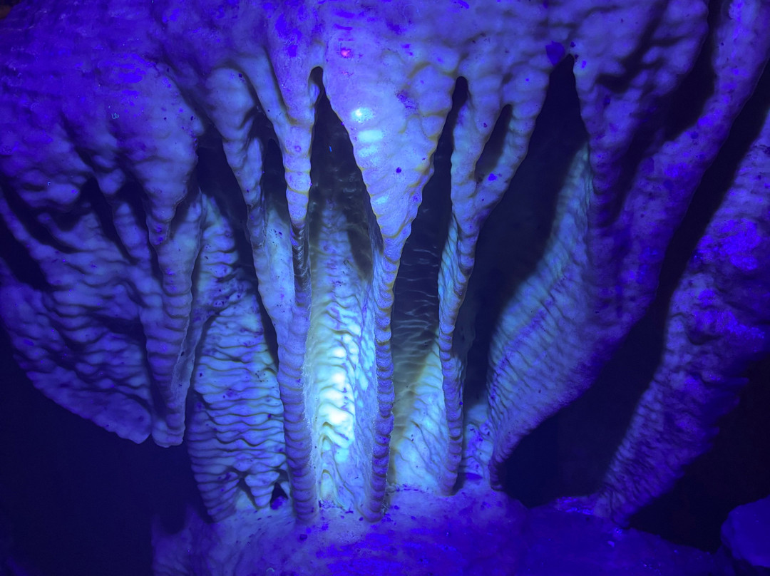 Stump Cross Caverns-Pateley Bridge必去景点