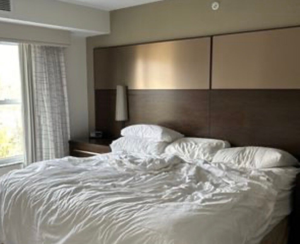 奥尔巴尼东格林布什/科技谷 Residence Inn 酒店主图