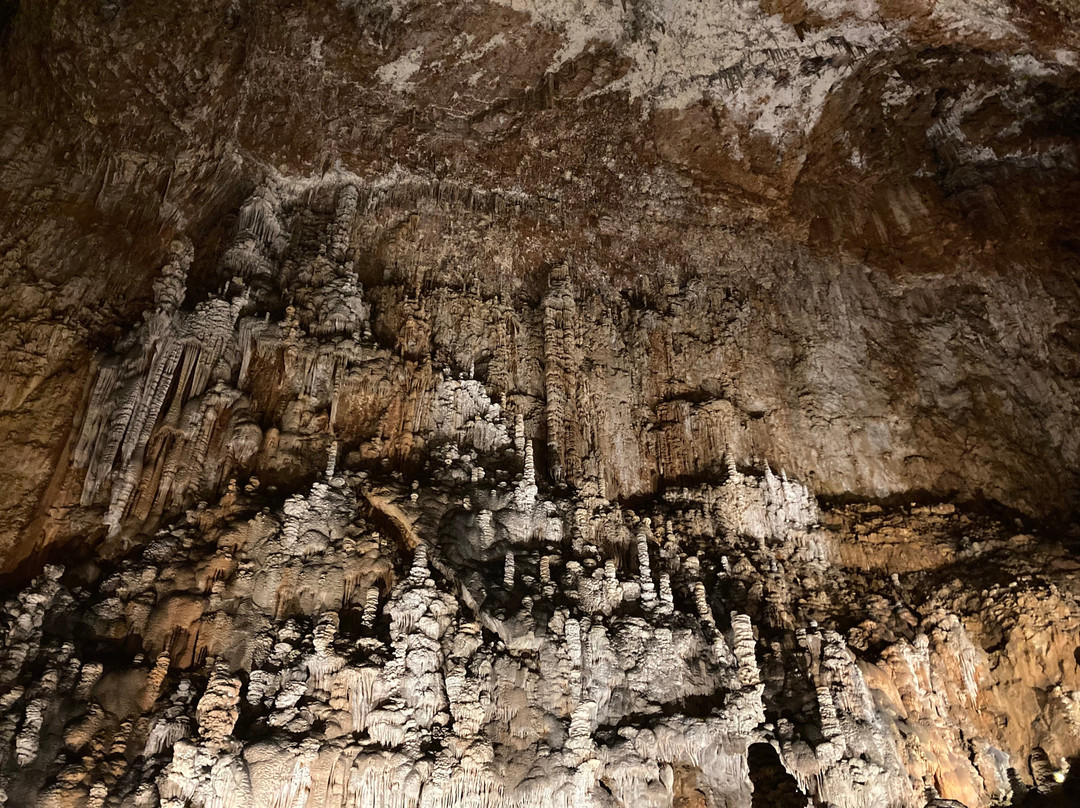 Grotta Gigante-Borgo Grotta Gigante必去景点
