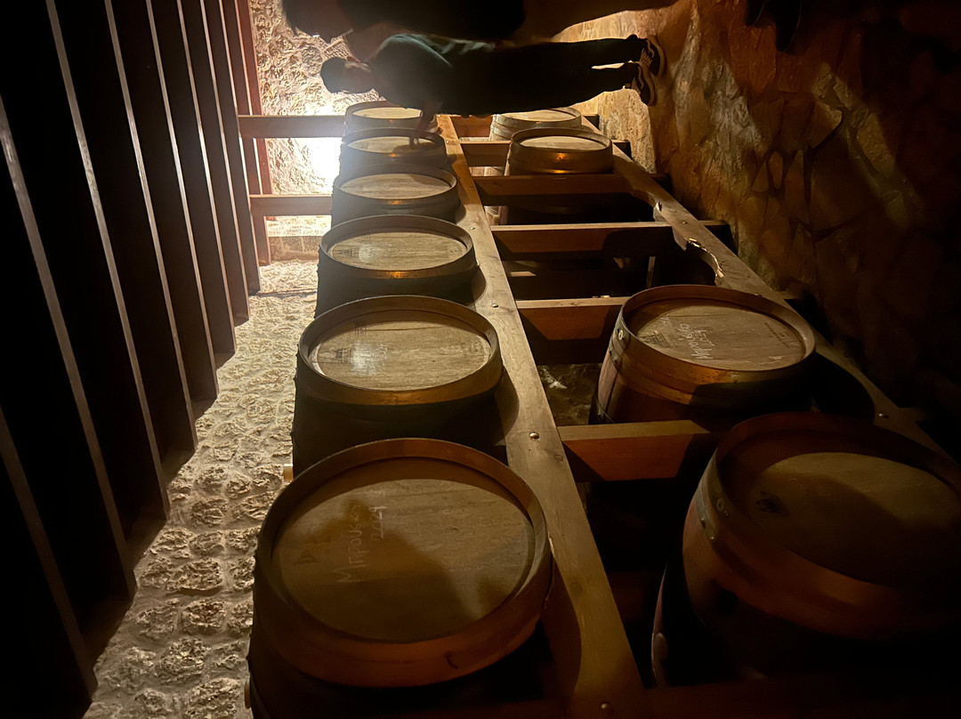 Siflogo Winery-莱夫卡扎必去景点