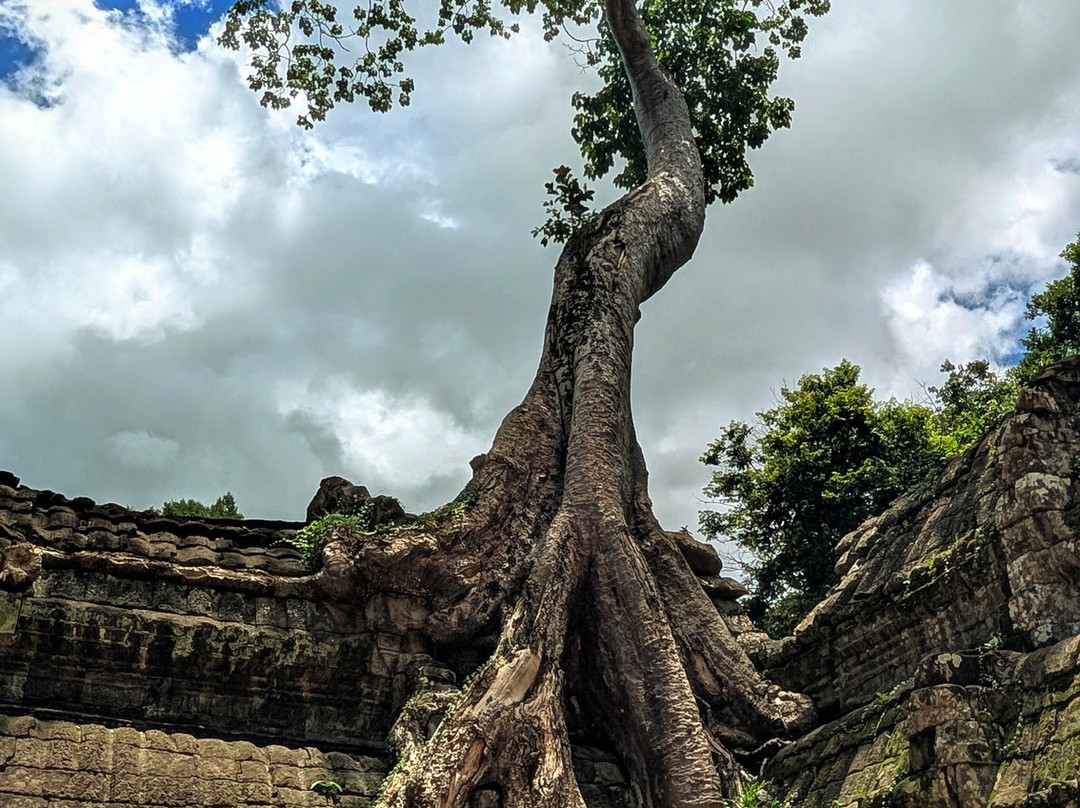Angkor en Espanol-暹粒必去景点