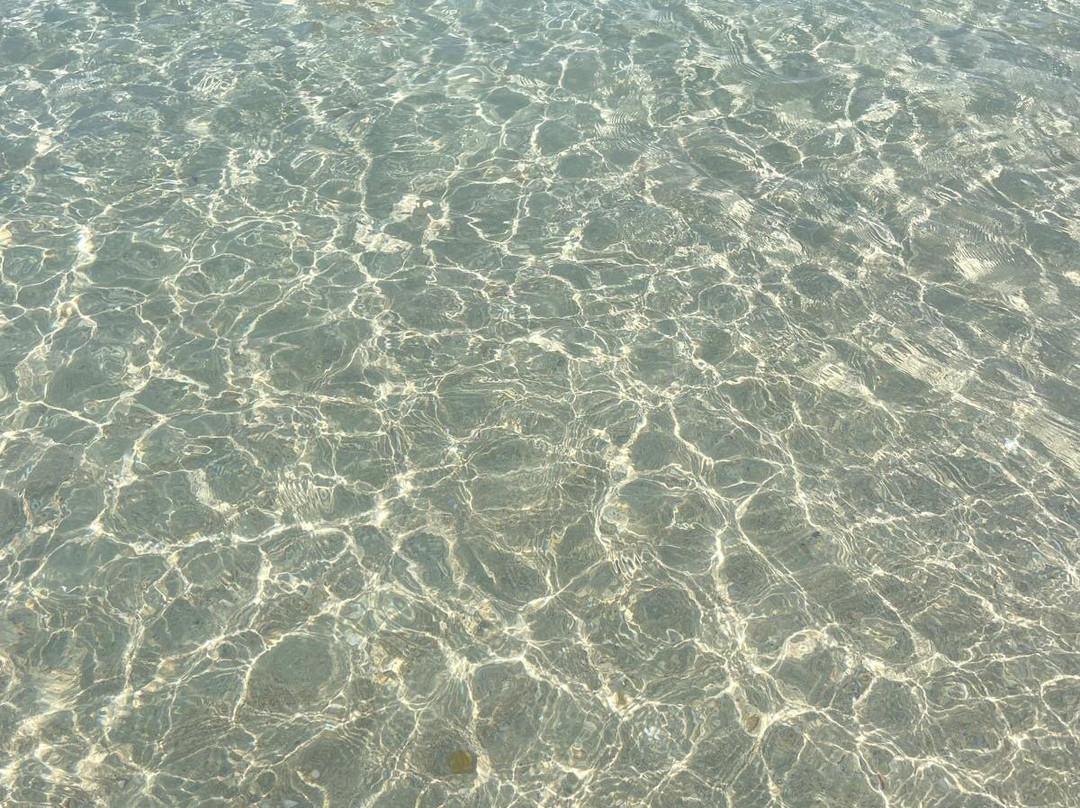 Zeus Beach-加里波利必去景点