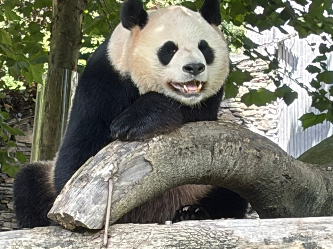 China Tours-西安市必去景点