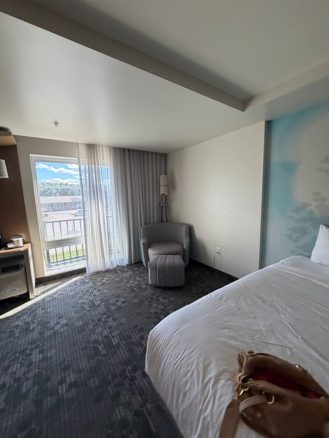 奥尔巴尼克利夫顿公园万怡酒店-旅行者