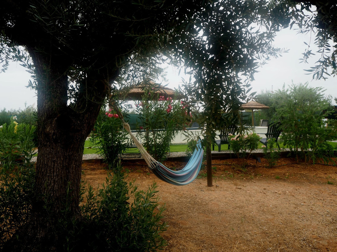 Burrico D'Orada - Orgulhosamente criado por Mark-Serpa必去景点