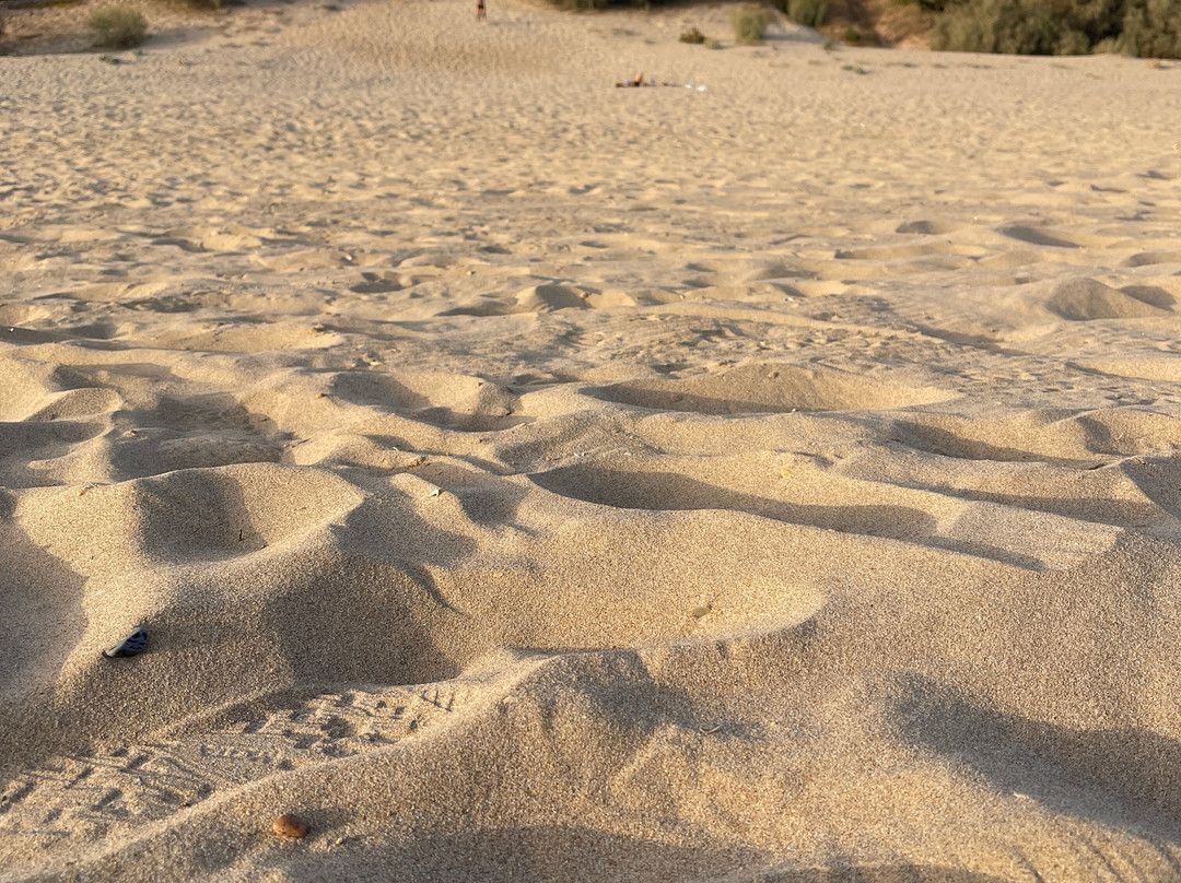 Playa de El Portil-韦尔瓦必去景点