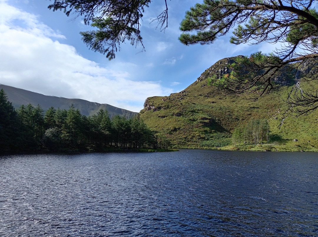 Glanteenassig Wood-Castlegregory必去景点