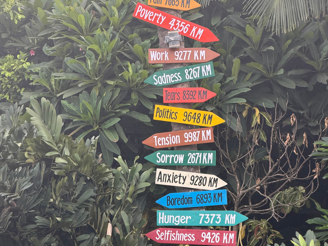 Mayfair Palm Beach Resort主图