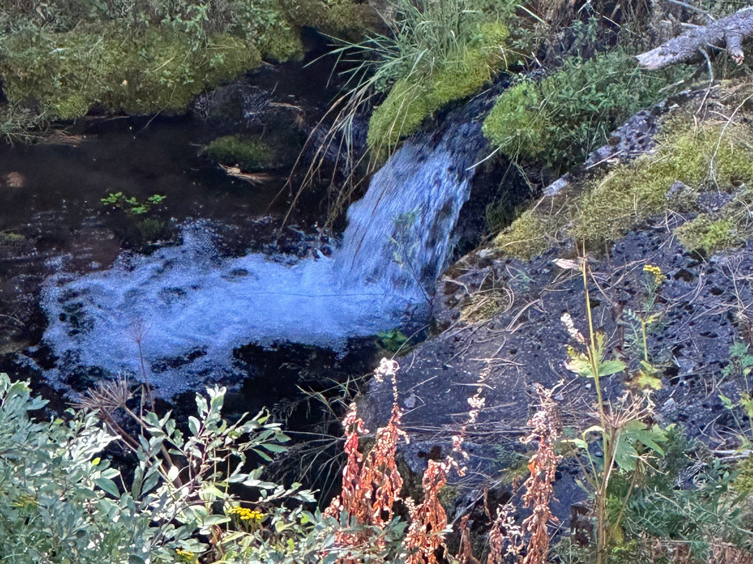 Spearfish Canyon Scenic Byway-Spearfish必去景点