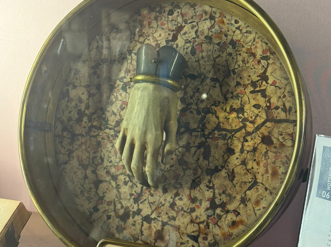 MUSA - Museo Universitario delle Scienze e delle Arti-那不勒斯必去景点