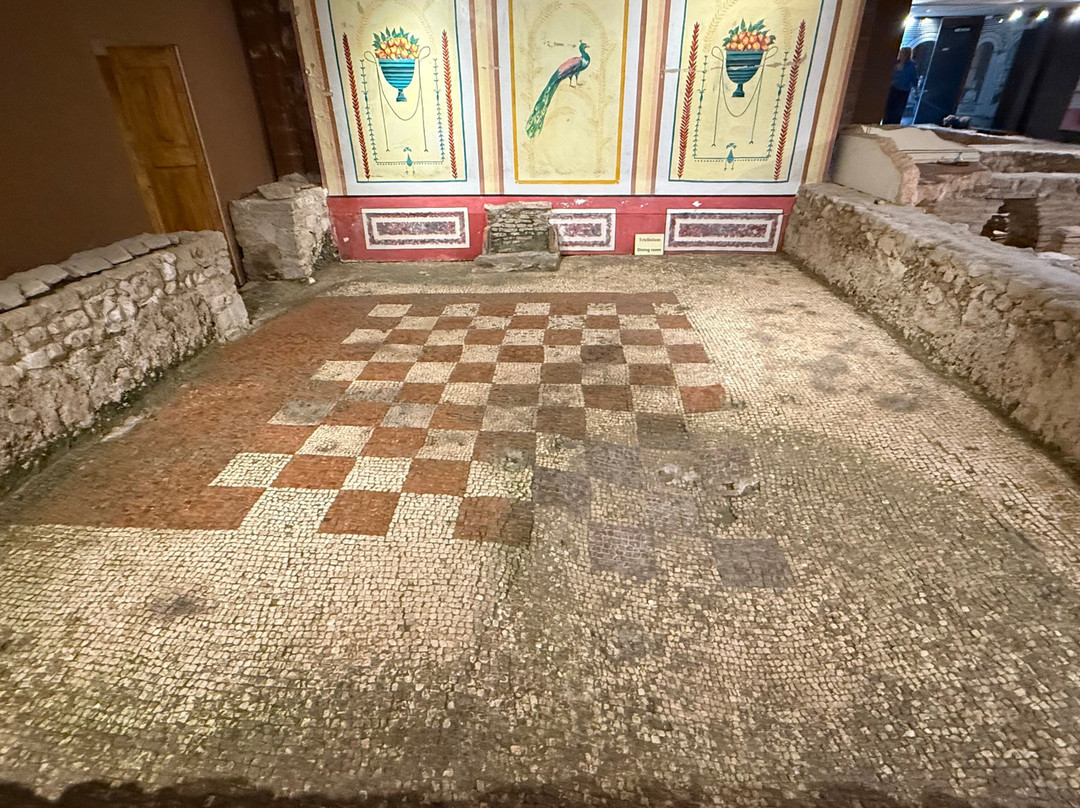 Newport Roman Villa-纽波特必去景点