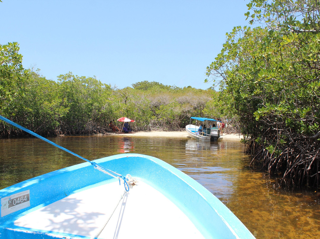 Playa Mero-Morrocoy National Park必去景点