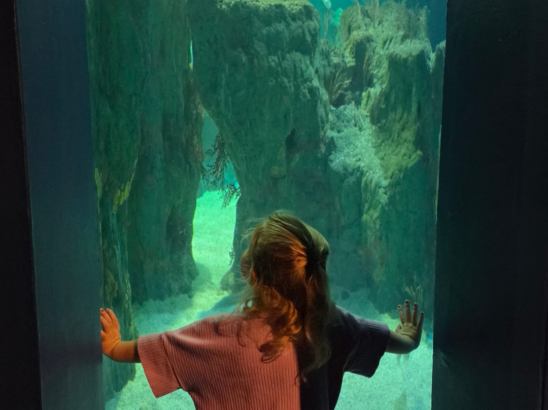 Almunecar Aquarium-阿尔穆涅卡尔必去景点
