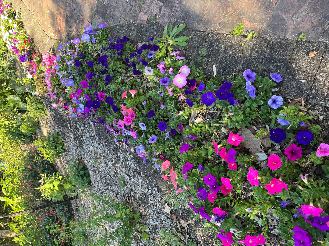 Noosa Botanic Gardens-Cooroy必去景点