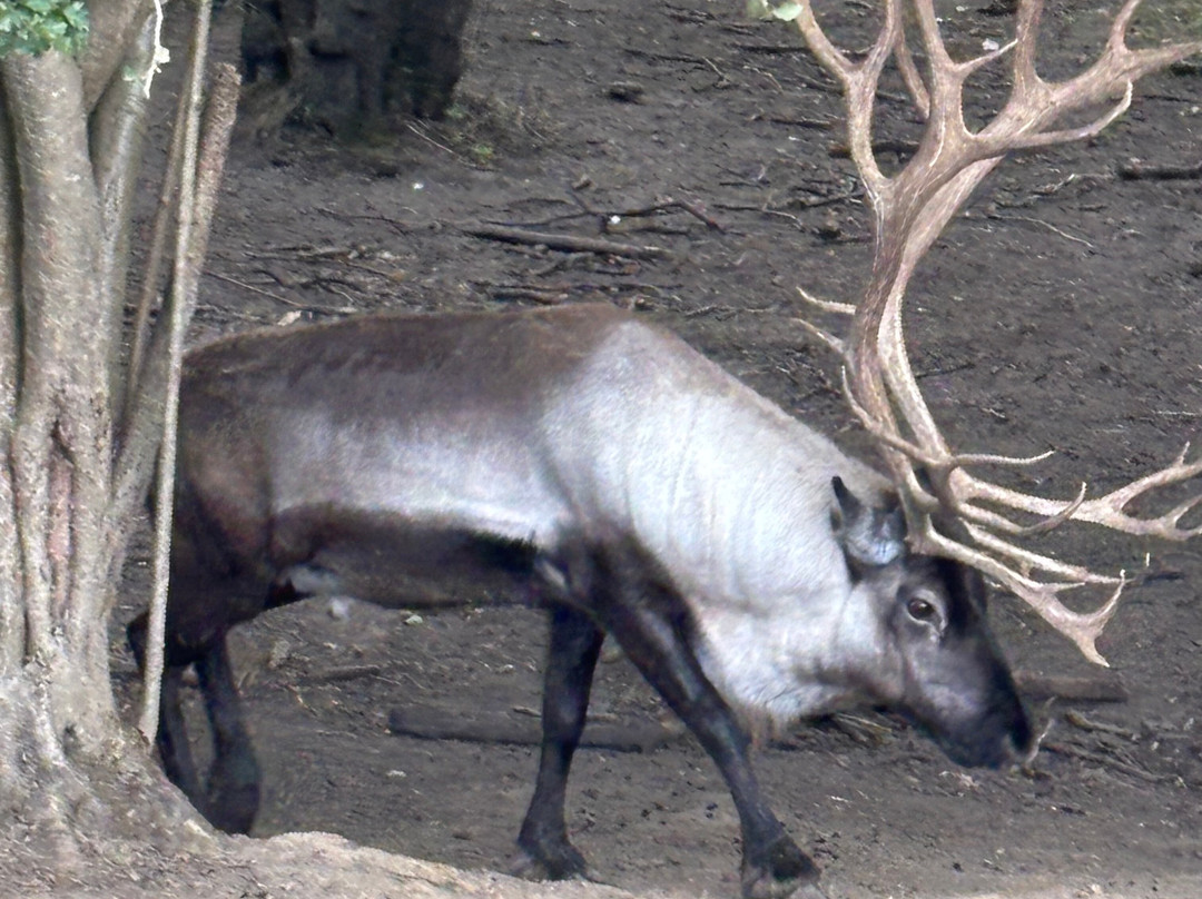 Jimmy's Farm & Wildlife Park-伊普斯威奇必去景点