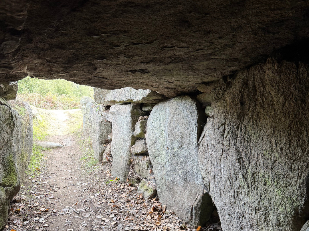 Tours Of Guernsey-St Peter Port必去景点