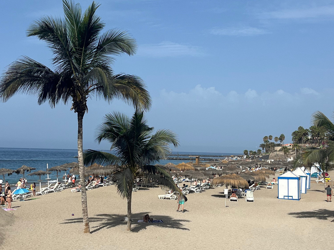 Playa del Duque-奥德杰海岸必去景点